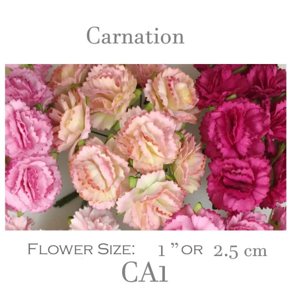 Carnation CA1